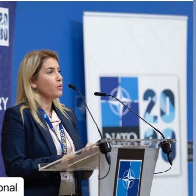 Executive director of Albania Youth Atlantic Treaty Association International