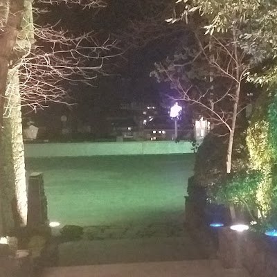 1981said13's profile picture. Soy homano