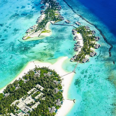 lQTNREDVR0SPkTQ's profile picture. 