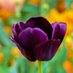Mondal (@mondal05227059) Twitter profile photo Mondal (@mondal05227059) Twitter profile photo