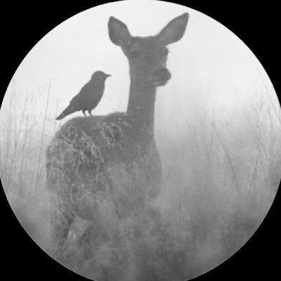 عاديتي فارِقه