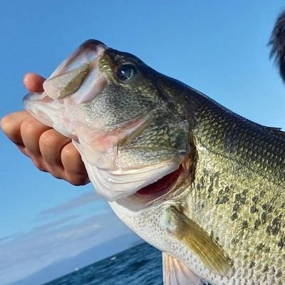 Kamelive0825's profile picture. ↑JZX110Wχ5MT↑

モデル7回収中