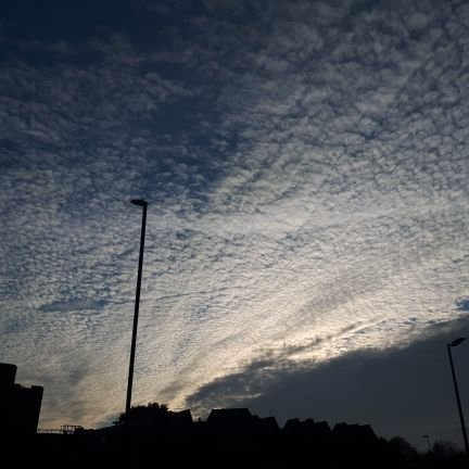 sawsdoe's profile picture. 