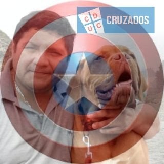 borisama4's profile picture. Siempre de la UC y siempre consecuente.