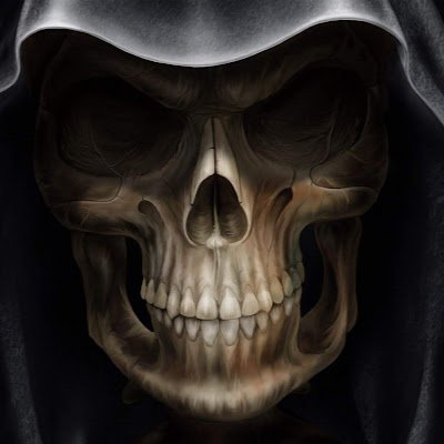 FabianLangenst1's profile picture. 