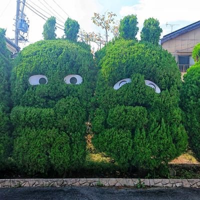 watwav's profile picture. 