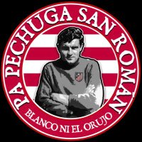 P.A. Pechuga San Román(@PaPechuga) 's Twitter Profile Photo