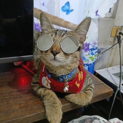 IvanTique1's profile picture. 