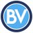 BlueValleyPost's profile image