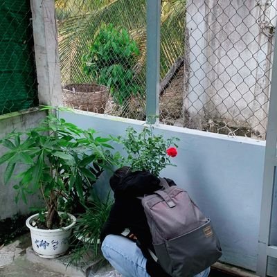 jack03010205's profile picture. 