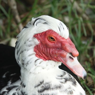 waxsousa1's profile picture. 