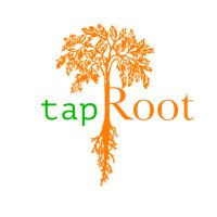 Ian (@taprootcoding) 's Twitter Profile