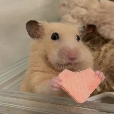윤식さんのプロフィール画像
