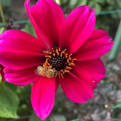 lynnylynn's profile picture. No plaid jacket, plaid pants instead. Live by the philosophy of: Do, or do not. There is no try.~Yoda. Views are my own. RT’s do not imply endorsements