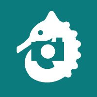 HippoCamera (@hippocamera) Twitter profile photo