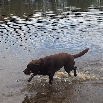 CollegeHelen's profile picture. 