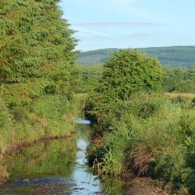 Farmer-led biodiversity enhancement project in a farm, forestry and raised bog area to address habitat fragmentation and enhance biodiversity and water quality