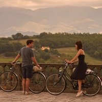 Enthusiastic Bread (CA) (@okay___bye) 's Twitter Profile