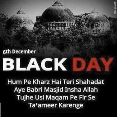 tum himmat ki toh baat hi mat karna ham wo parinde hai jo pinjra tod kar udenge
