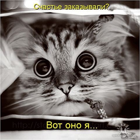 c_natali's profile picture. 