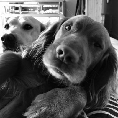 TTCTcurriculum1's profile picture. Works to serve children and improve life choices.  Plant based ultra runner and animal lover