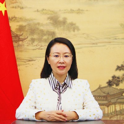 Ambassador of the People's Republic of China to the United Republic of Tanzania