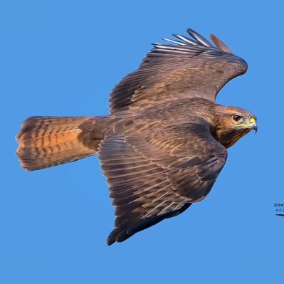 oldman0123's profile picture. 