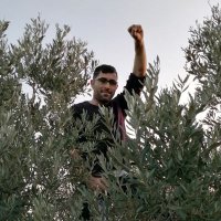 Hasan Sözeri(@hsnsozeri) 's Twitter Profile Photo