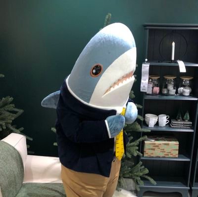 bioeconeta's profile picture. 