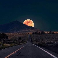 CryptoMoeLcoq (@emmath04) 's Twitter Profile