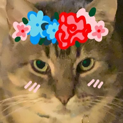 Jack/Basilさんのプロフィール画像