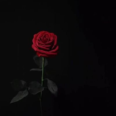 algaarea42's profile picture. 