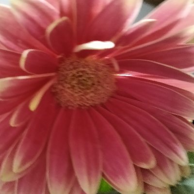 giota_gr2's profile picture. σπουδες, στην πληροφορική κ.α.