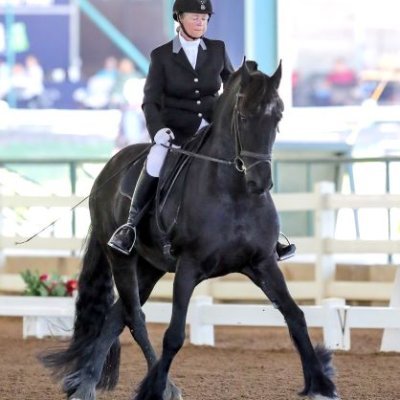 ARIA Certified Level III Dressage Instructor