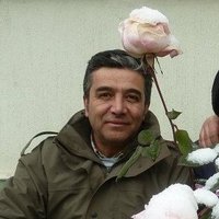 🇹🇷 Mehmet 🇹🇷 (@myilmaz62) 's Twitter Profile