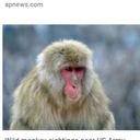 Benjamin Selzer - @BselzerSelzer - Twitter