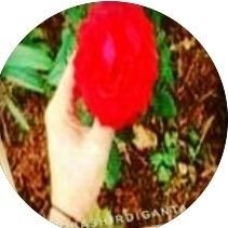 سبحان الله وبحمده سبحان الله العظيم
استغفر الله العظيم واتوب إليه