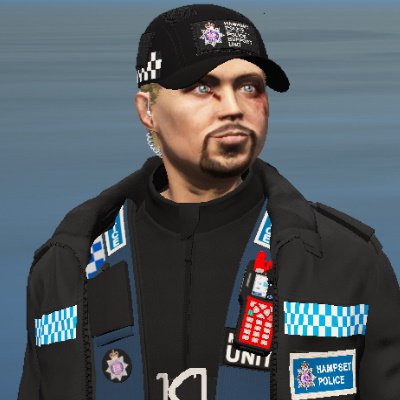 Fictional Account. Supt for Operational Policing @HampsetRPC. This account is not affiliated with any real-life emergency services, in an emergency call 999.