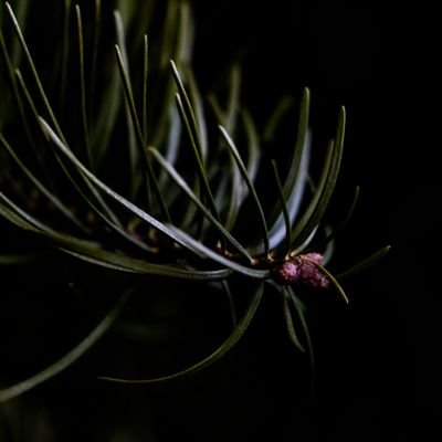 Imi740's profile picture. 19 | he/him | INFJ-T