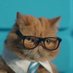 Sir Cat ๐จ๐ฆ (@sircatstock) Twitter profile photo Sir Cat ๐จ๐ฆ (@sircatstock) Twitter profile photo
