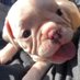 Fendi (@fendisofine) Twitter profile photo Fendi (@fendisofine) Twitter profile photo