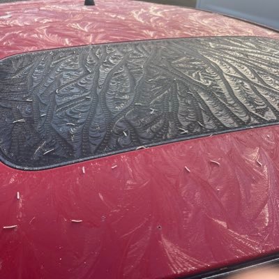 eryncollins's profile picture. Is it kind? Is it true? Is it necessary?