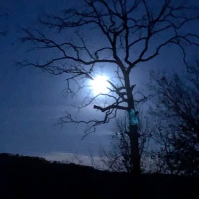 xbxdgreen's profile picture. 