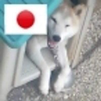 ポッケンくん(@pokkenkundesu) 's Twitter Profile Photo