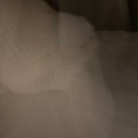 j (@oldmanslappy2) 's Twitter Profile