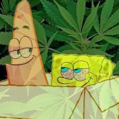 m1oal32358710's profile picture. ola eu sou goku