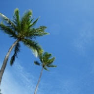 dangosann's profile picture. うちは地震ばかりで怖いよ_
生きててよかった