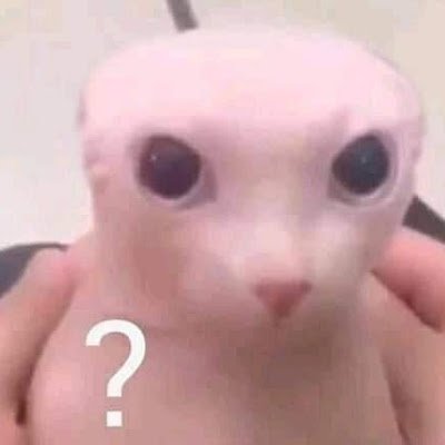 Brendanpalma4's profile picture. 