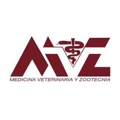 Cuenta oficial de la Facultad de Medicina Veterinaria y Zootecnia de la @uanl. https://t.co/TGKLSZNkzO