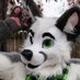 Rui ๐FWA (@ruishiro) Twitter profile photo Rui ๐FWA (@ruishiro) Twitter profile photo